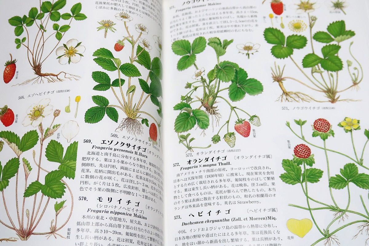 原色牧野植物大図鑑（離弁花・単子葉編）・（合弁花・離弁花編