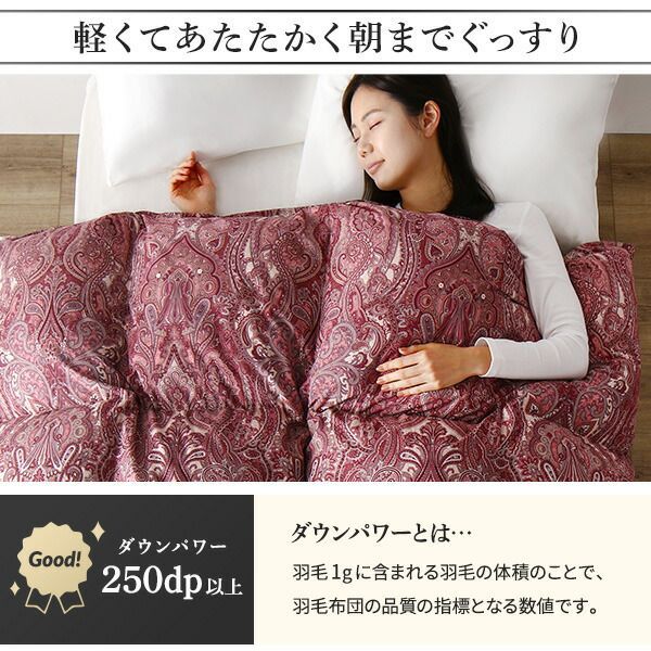 羽毛布団 掛け布団 シングル ブラウン ダウン50% 250dp パワーアップ