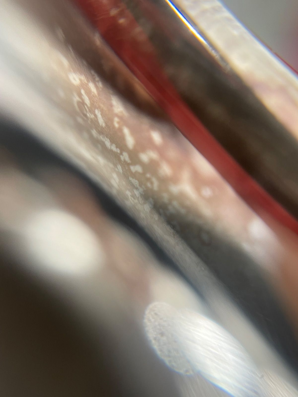 ユーフォニアム BE765-2