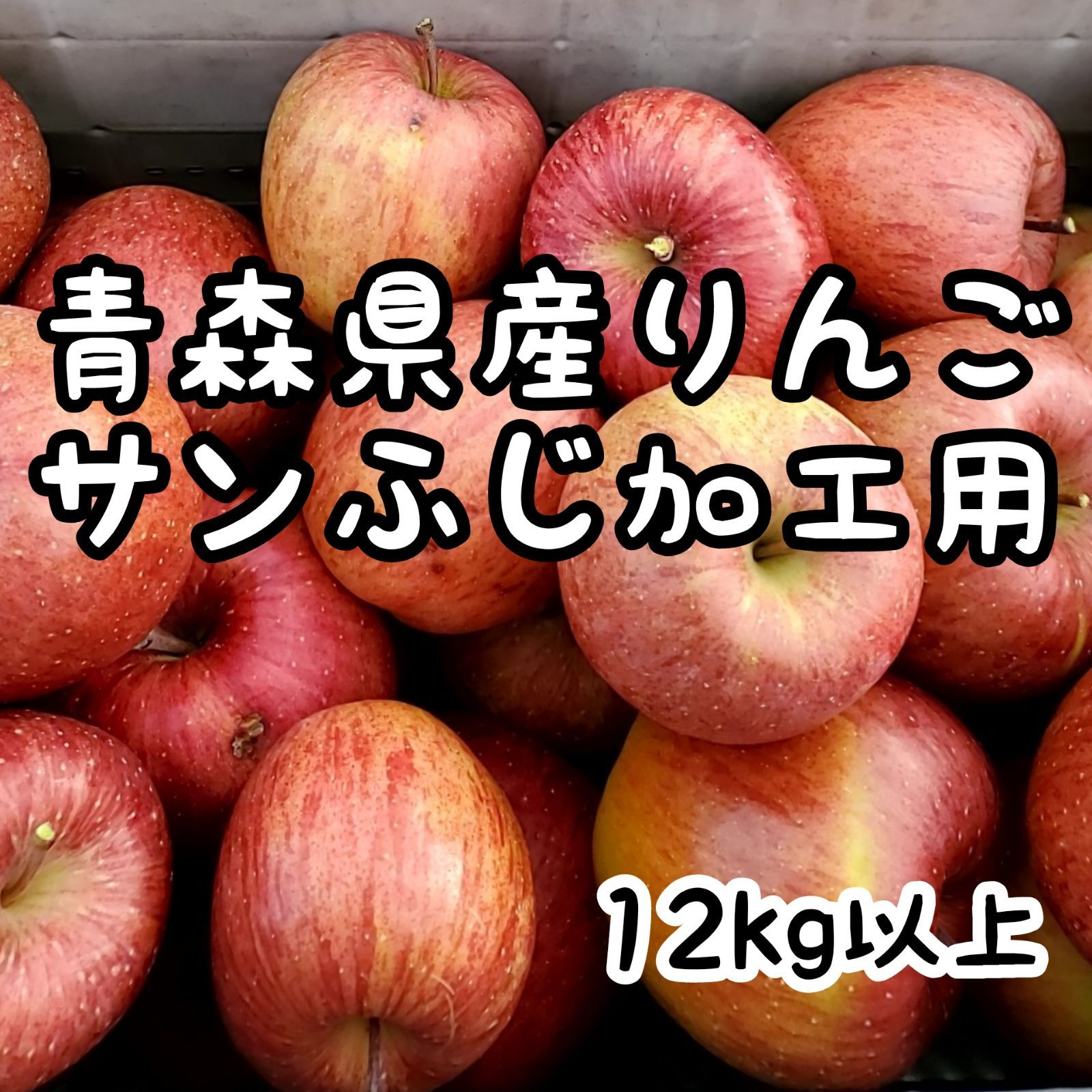 青森県産りんご サンふじ家庭用 12kg - 果物