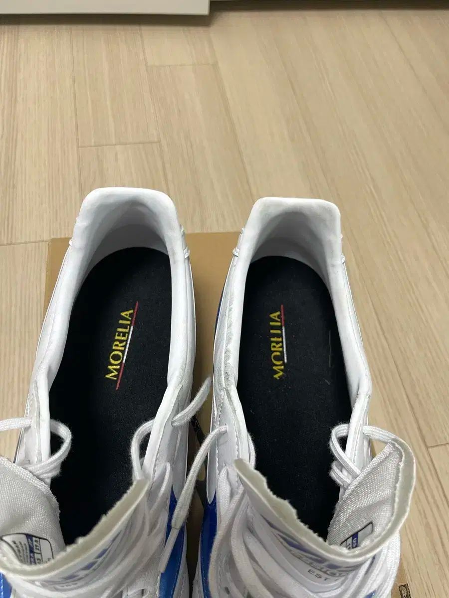 mizuno(ミズノ) モレリア 2 プロ AG DNAカラー MIZUNO ミズノ