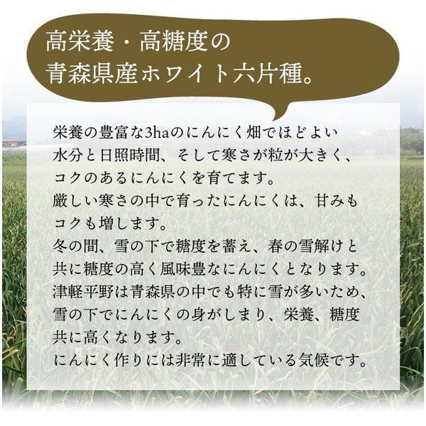 青森県産にんにくスライス (乾燥) 20g 3袋セット-2