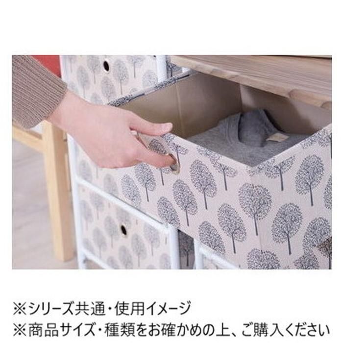 東谷 簡単組立チェスト5D