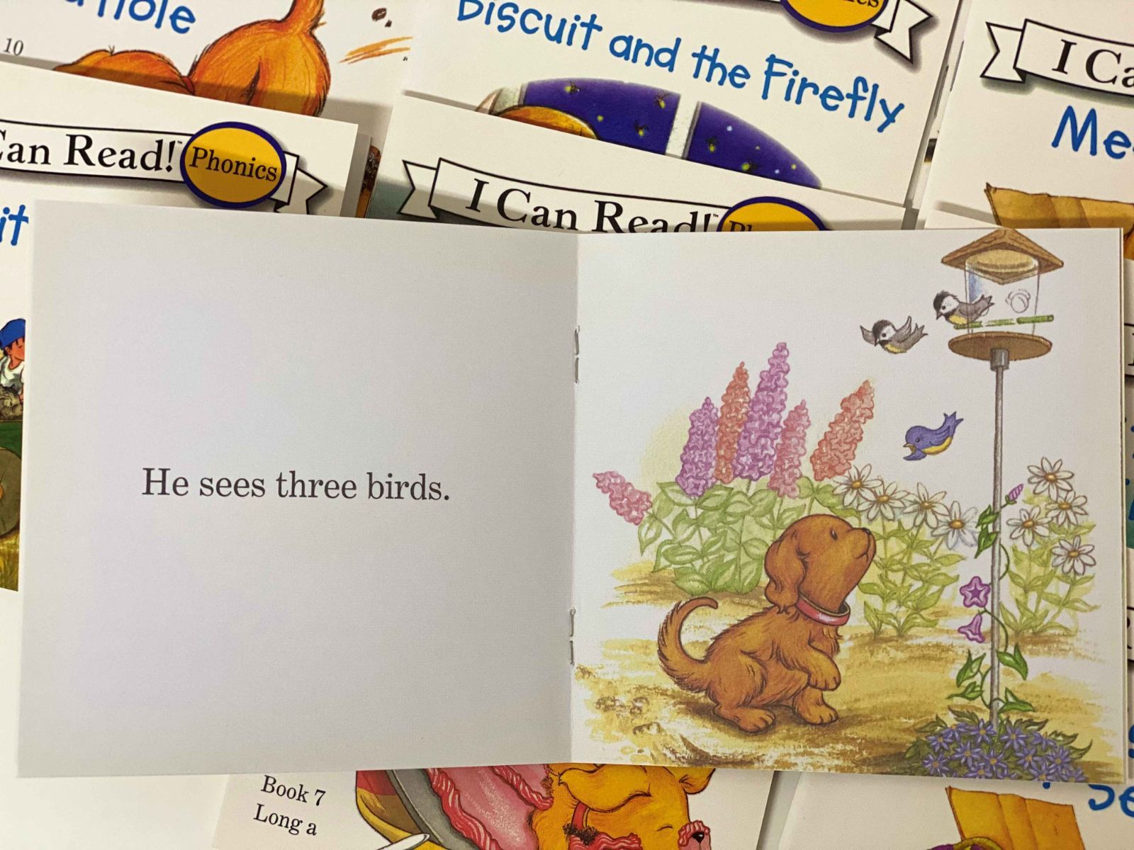 新品】ビスケットフォニックス 24冊 I can read phoics biscuit おうち 
