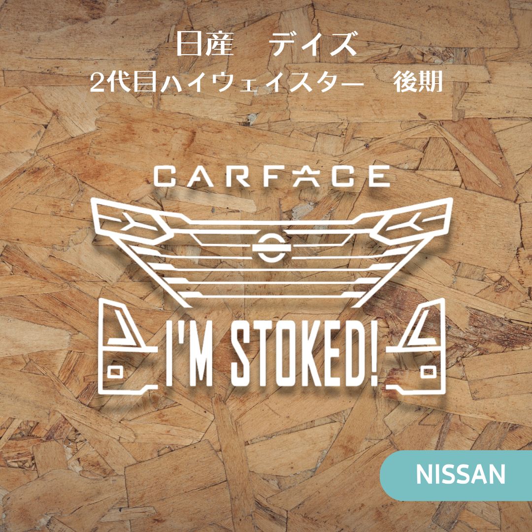 日産デイズハイウェイスター B44w 後期 車ステッカー ドラレコ