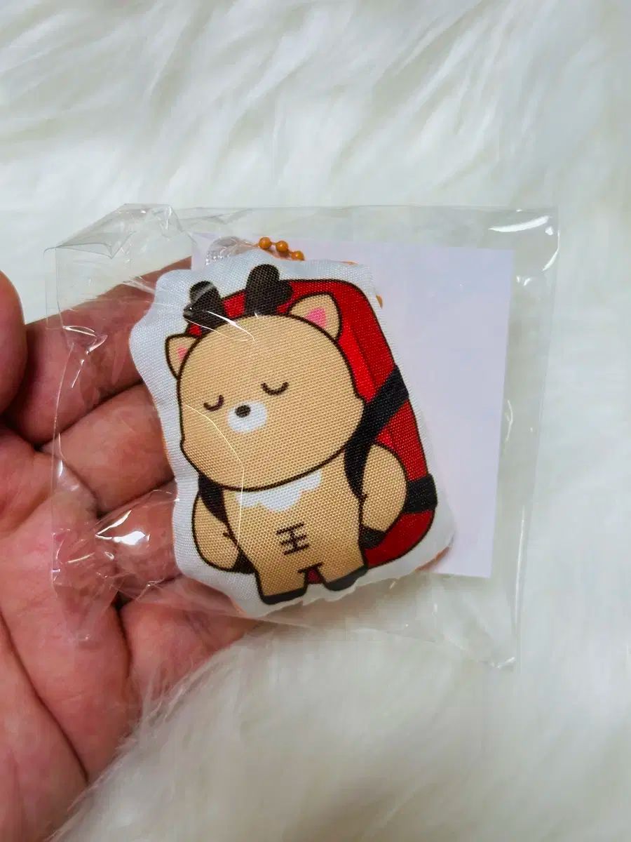 RIIZE(ライズ) 日本 ポップアップ ライズ・シティ MD クッション