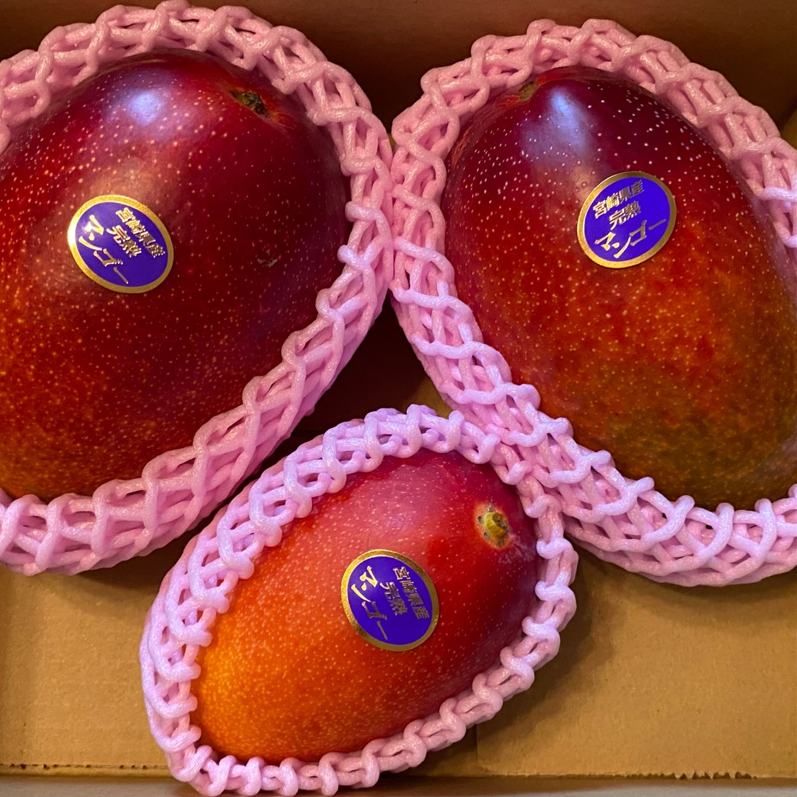 たかんちゃん専用♡ 本日の目玉】 宮崎 完熟 マンゴー 家庭用 3玉 1.39k 最高 ② 冷蔵発送