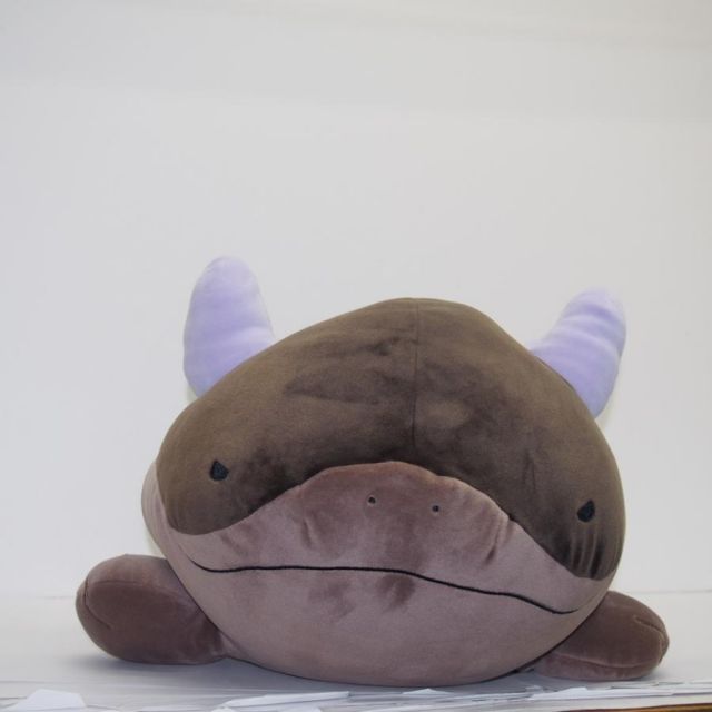 ぬいぐるみ