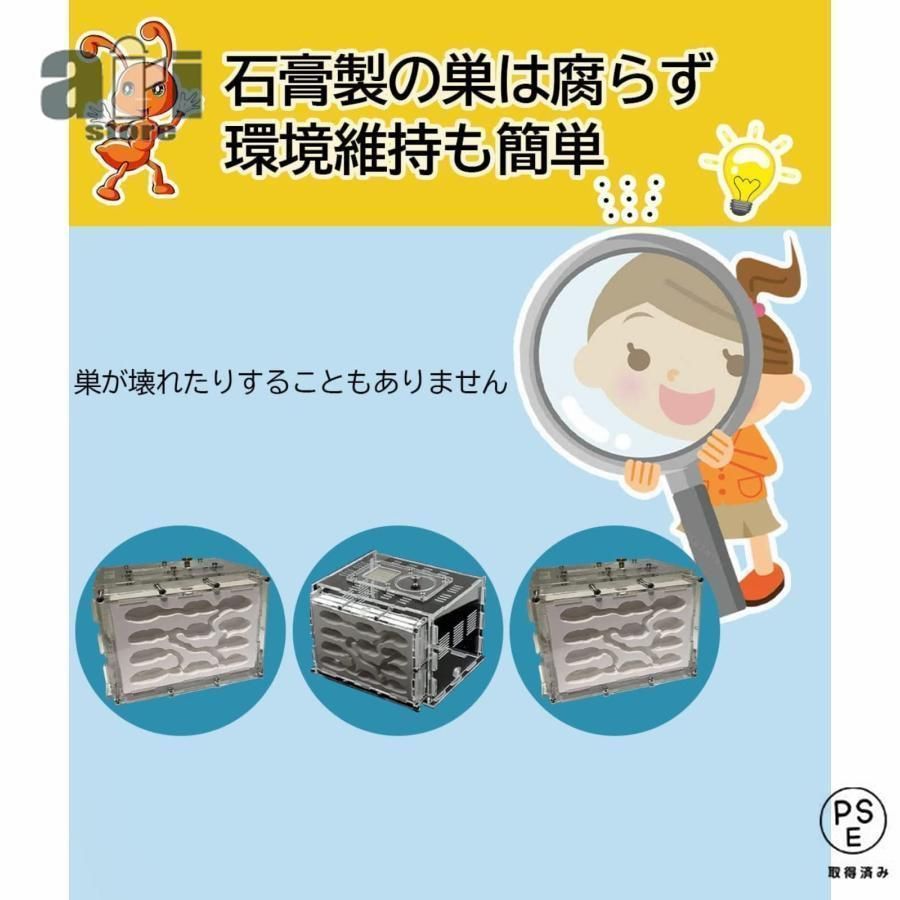 アリ飼育ケース　石膏巣　アリの巣観察 Amazon.co.jp: アリの巣 石膏製 アリ飼育キットアリの巣観察