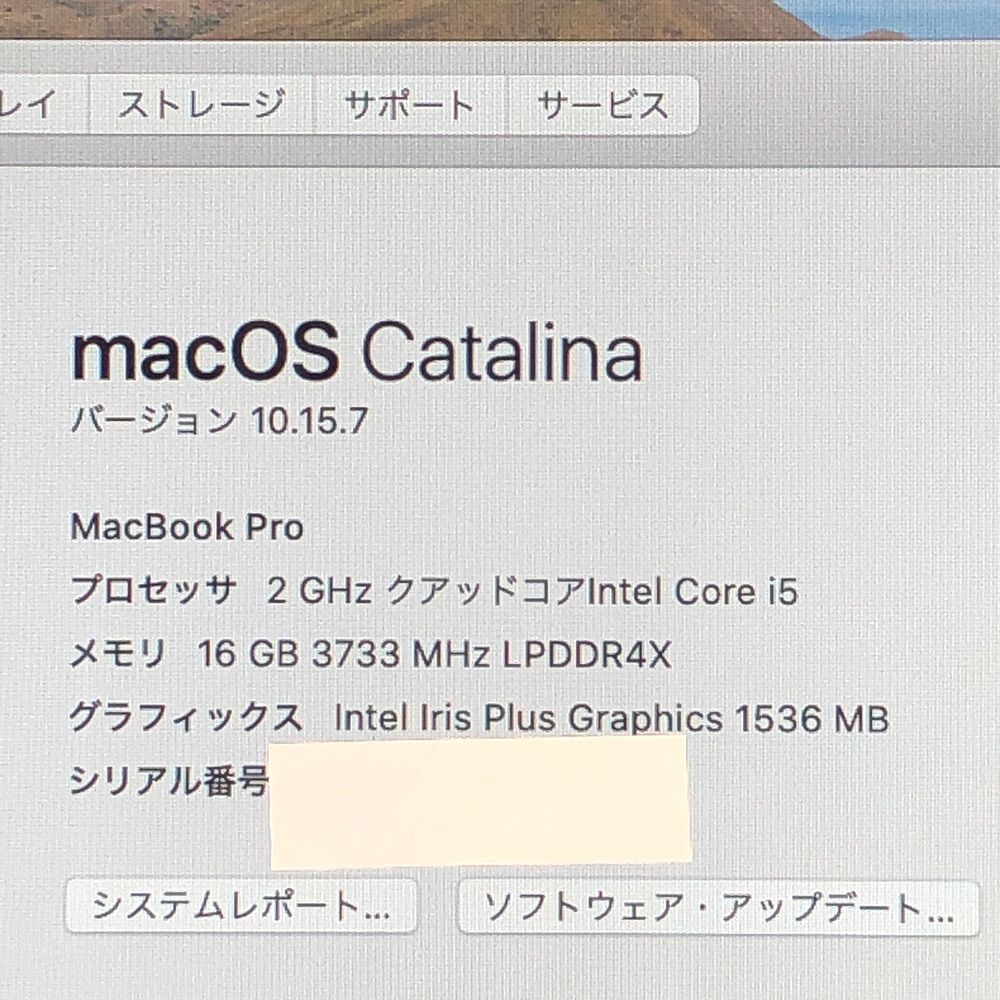 ◇ジャンク品・本体のみ◇Apple MacBook Pro (13インチ 2020