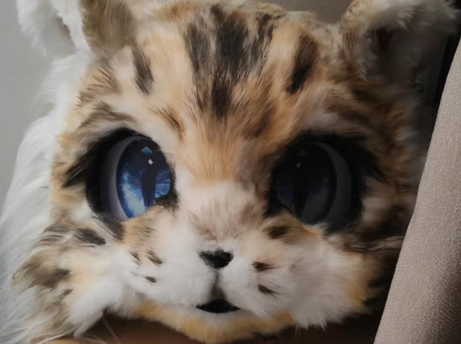 コスチューム