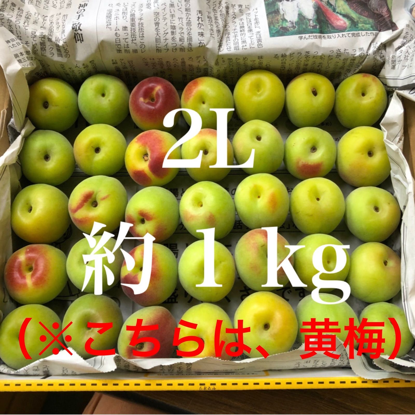 ○黄梅【2L・3kg】南高梅 - メルカリShops