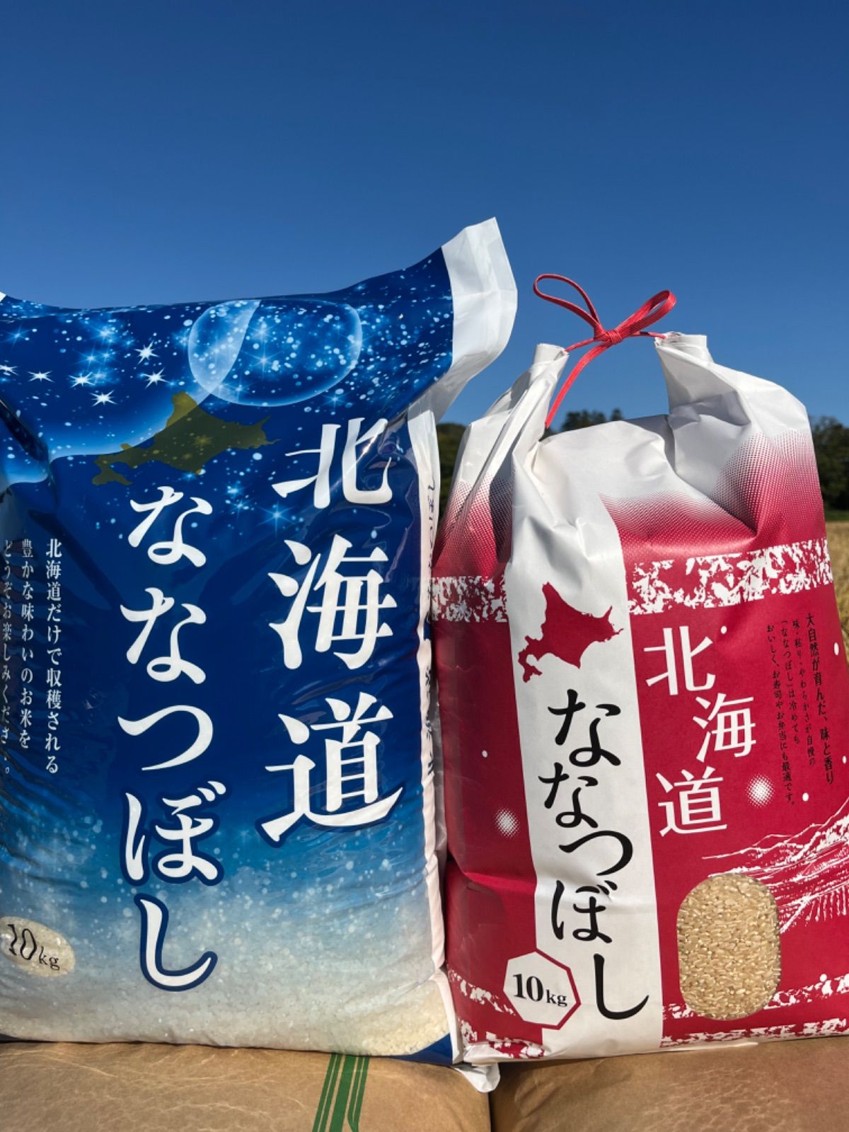 お米 新米 北海道産 ななつぼし 総20キロ 精米 お米 新米 北海道産 ななつぼし 総20キロ 精米