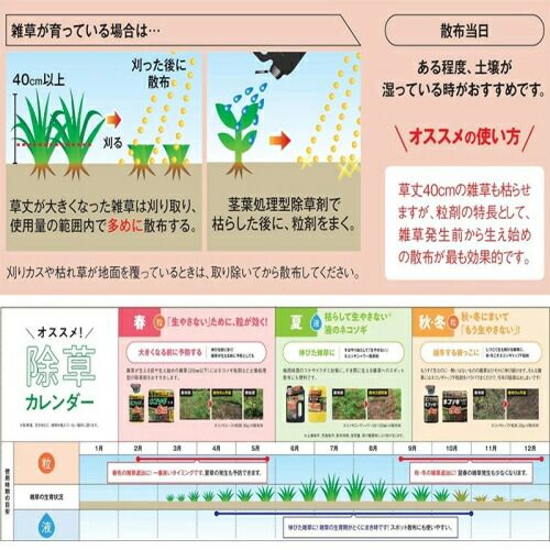 レインボー薬品 ネコソギブロックV粒剤 10ｋ 2個セット