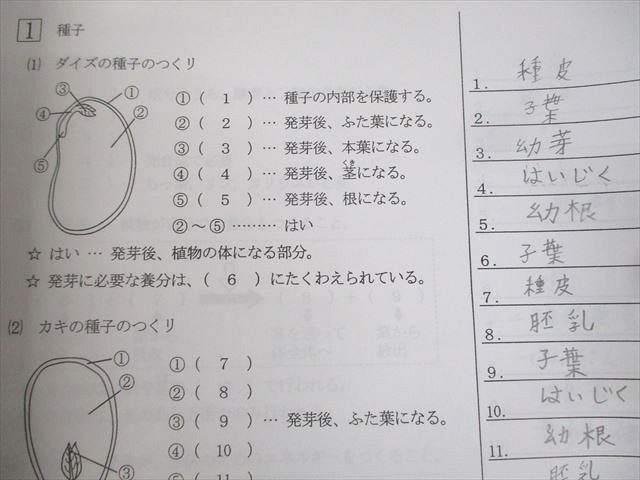 WY10-064 浜学園 小6 理科 サクセスへの道/暗記カード PART1～3 2022 計6冊 18S2D - メルカリ