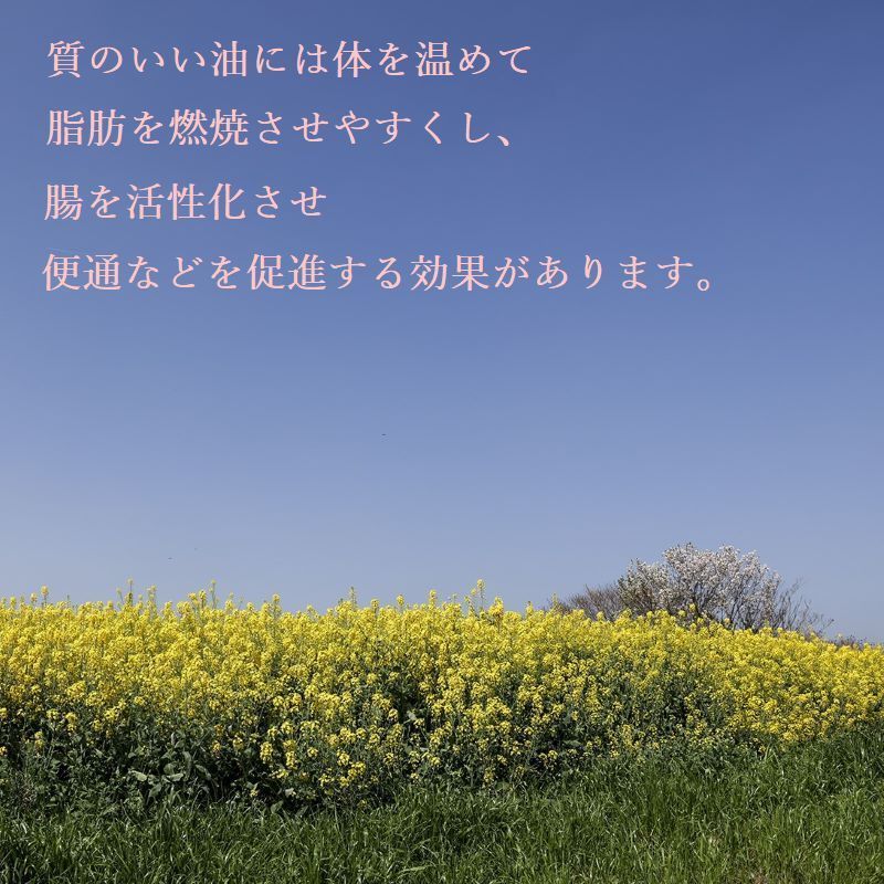 加茂のなのはな油