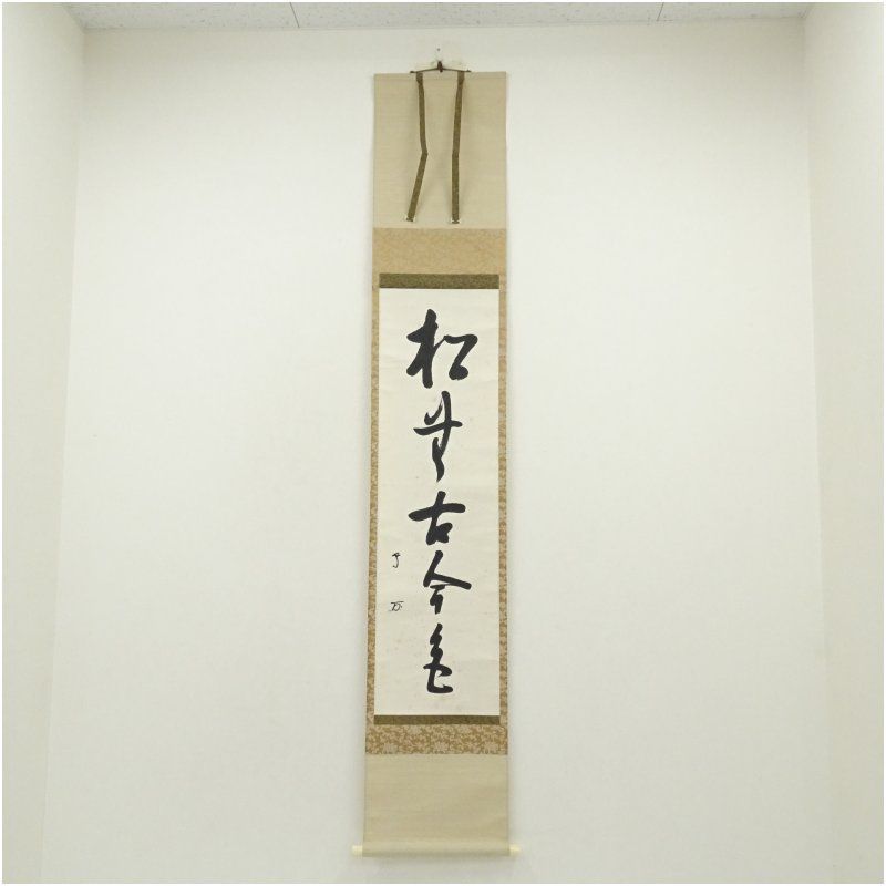 武者小路千家 十三代 有隣斎筆 松無古今色 一行書 肉筆紙本掛軸 保護箱 掛け軸 床の間 書 おしゃれ 絵画 表具 芸術 茶道 年中掛け インテリア 茶掛 掛物 和室 1月 11月 秋