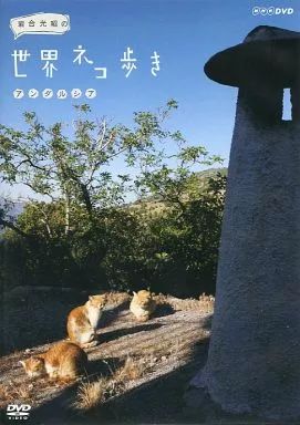 (未使用･未開封品)　岩合光昭の世界ネコ歩き　アンダルシア　DVD v1yptgt 61mvqtxkCaL._UF894,1000_QL80_.jpg