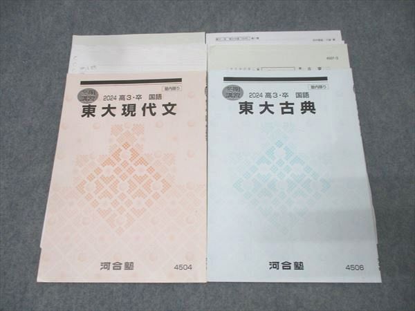 河合塾 東京大学 東大現代文/古典(漢文・古文) 国語テキストセット 2024 冬期 計2冊 大野優/高橋佳典 013s0D 河合塾 東京大学 東大現代文/古典(漢文・古文) 国語テキスト