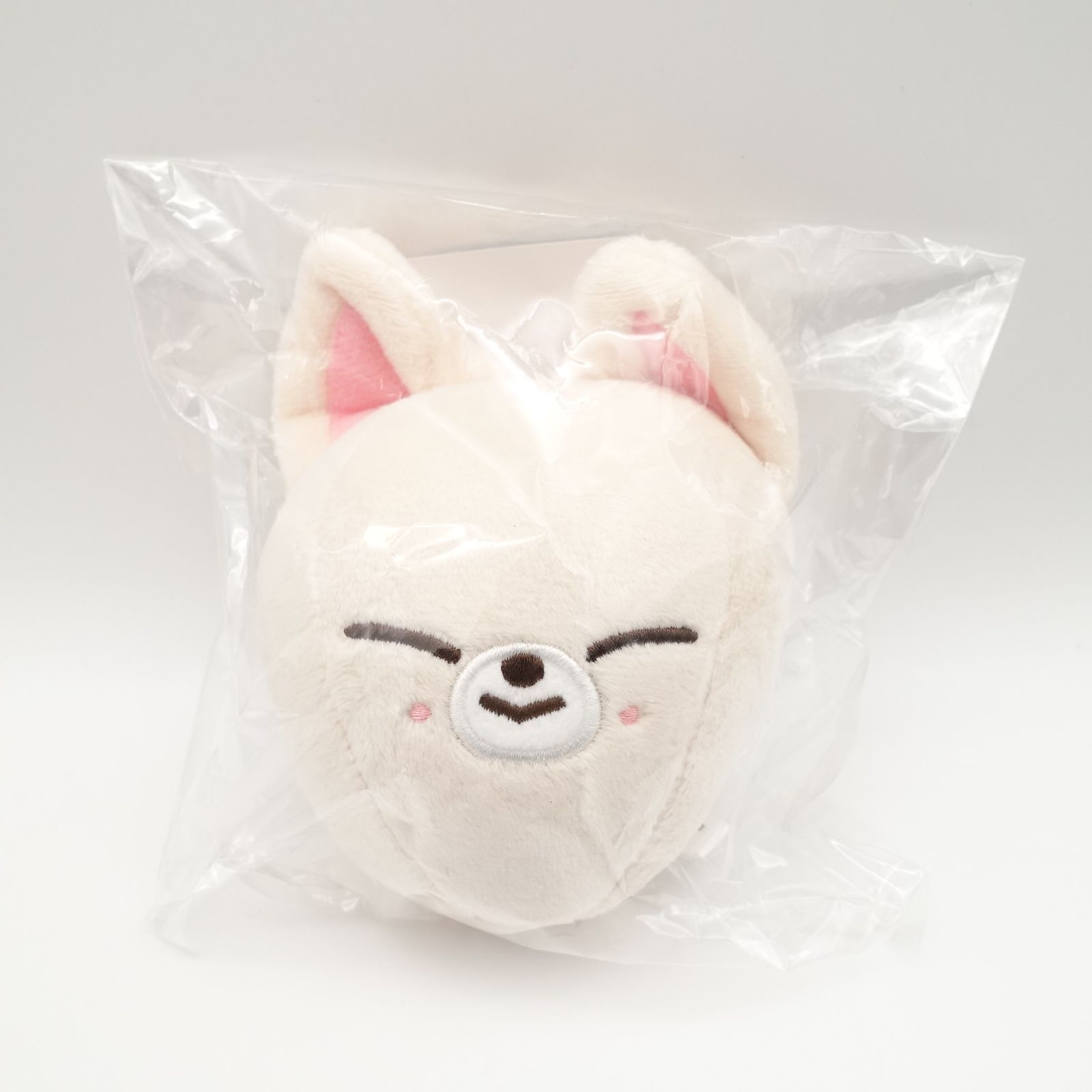 Stray Kids アイエン BAG CHARM 新品未開封 FoxI.Ny 5-STAR Dome Tour 