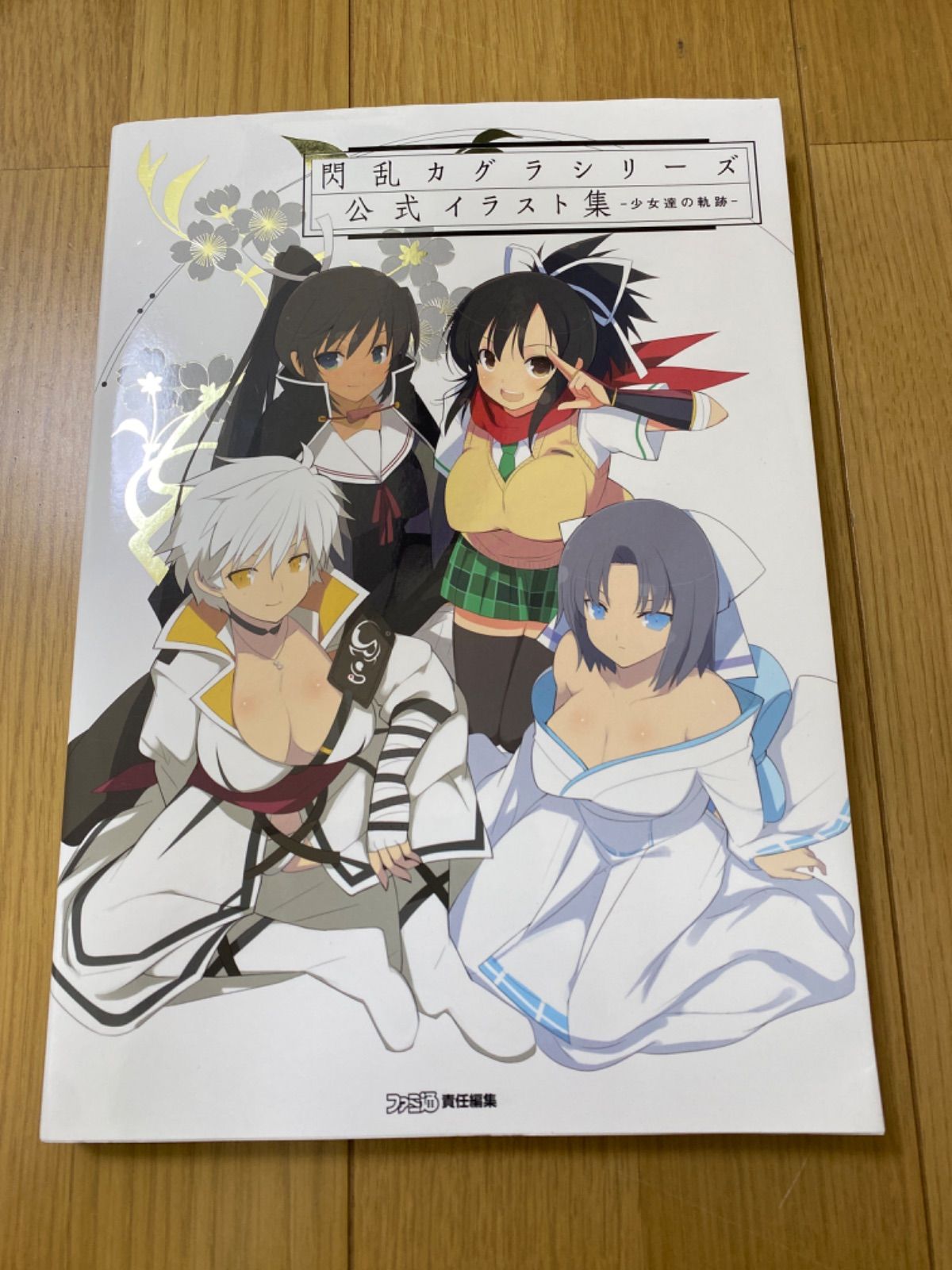 閃乱カグラシリーズ公式イラスト集10冊セット 閃乱カグラ 飾って楽しめる