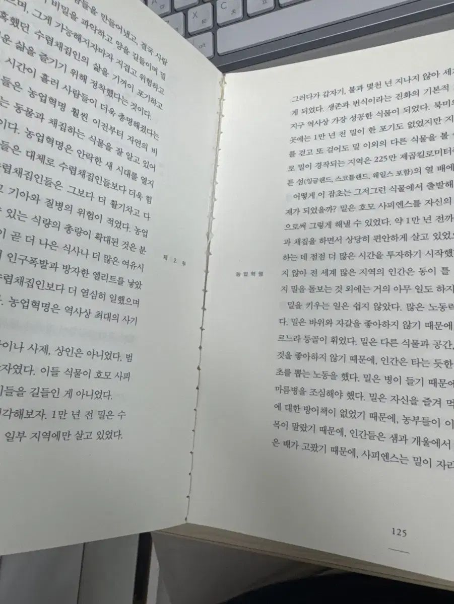 合計クラック サピエンス ドゥクウォン