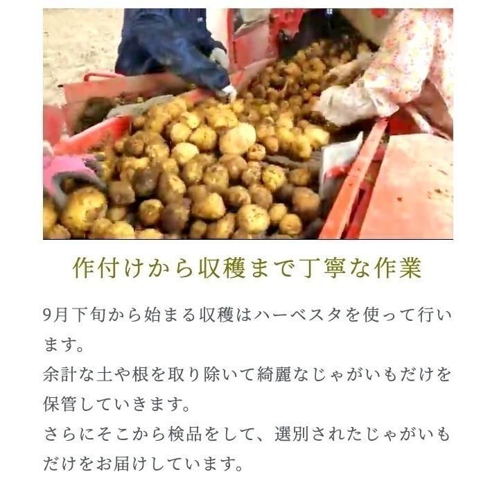 正規品北海黄金10キロ北海道剣淵町産じゃがいも 正規品北かむい10キロ北海道剣淵町産じゃがいも : 北海道旬直