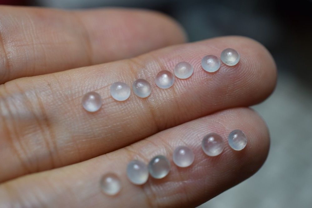 ミャンマー産 A貨 本翡翠 ルース ジェダイト R23-44 ミャンマー産 天然 A貨 本翡翠 ルース 硬玉 ジェダイト - メルカリ