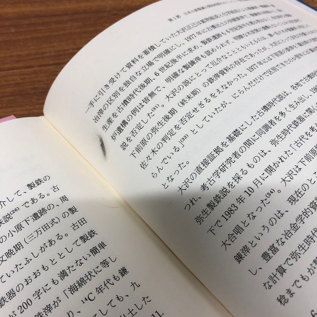 01)【同梱不可】弥生時代の鉄器文化/川越哲志/雄山閣/1993年発行