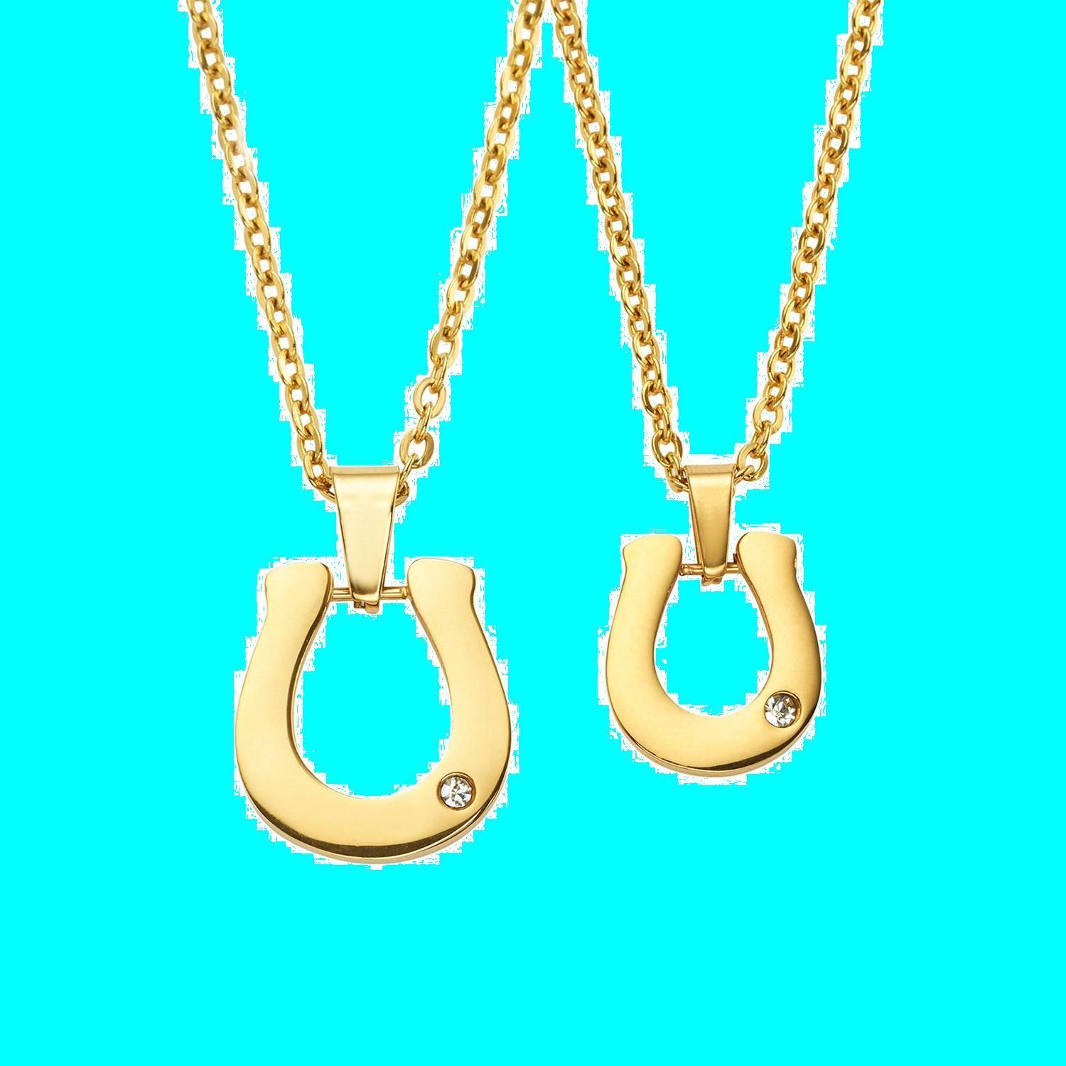 316L サージカルステンレス レディース メンズ ペアネックレス 馬蹄 A1398 入り ボックス ジュエリー セット ネックレス ペア ホースシュー 製 ステンレス Strength