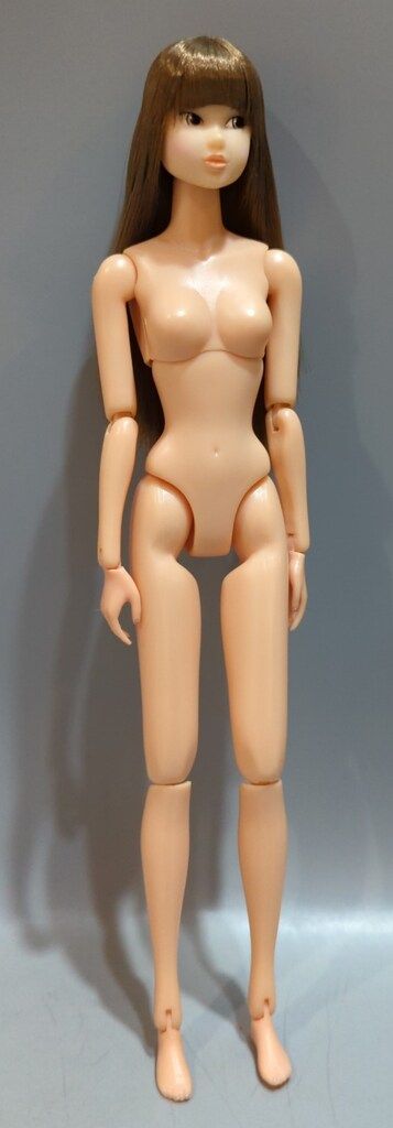ペットワークス CCS-momoko Today s momoko 1105Br