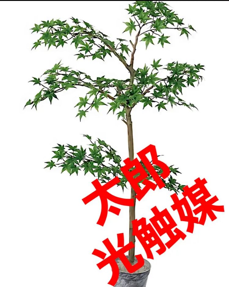 光触媒 人工観葉植物 ウォールグリーン フェイク アレンジ メープルツリー