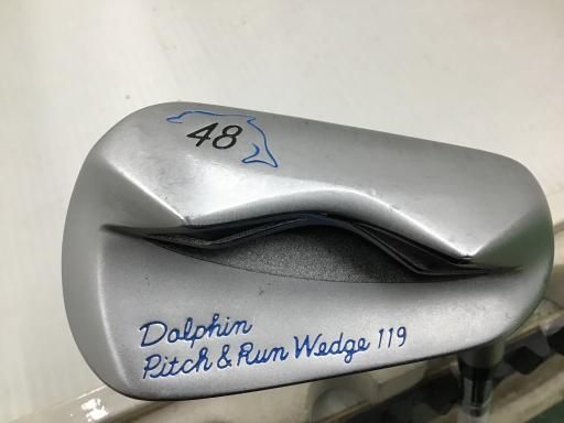 DPW-119 48°