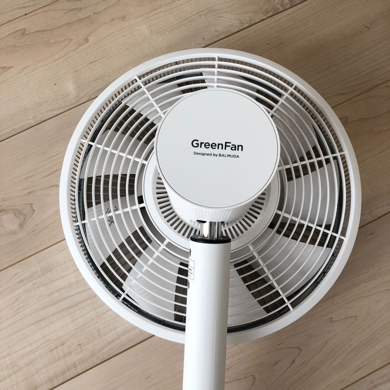 バルミューダ The Green Fan 扇風機 EGF-1600 【公式通販】