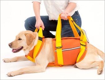 トンボ 歩行補助ハーネス