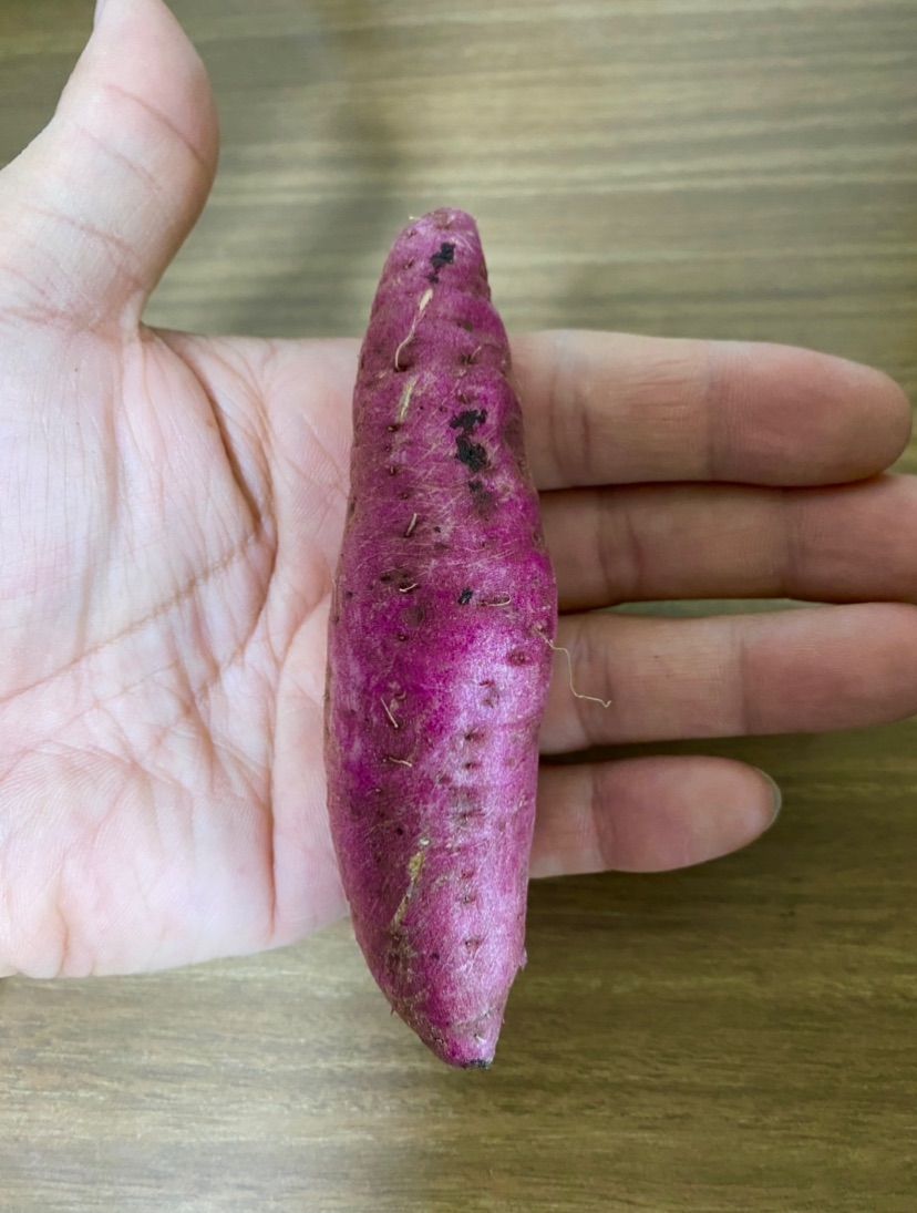 数量限定値下げ◎鹿児島県産 ぷち芋 シルクスイート 5kg おやつにピッタリ◎