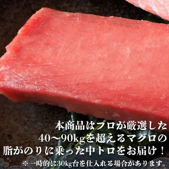 中とろ　３００ｇ 豊洲 お刺身 海鮮 丼 中トロ 柵 メバチ マグロ