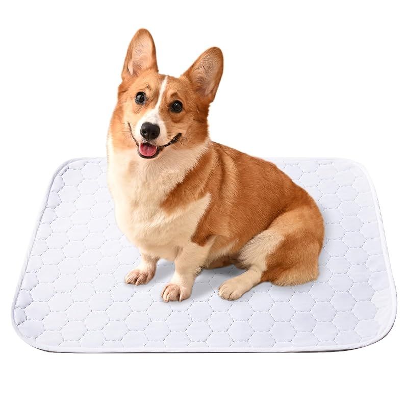 STVICTORY ペット用 おしっこマット 120*90cm 2枚セット ペットマット 【健康状態の変化に気付く】 おしっこパッド 洗える ペットシーツ トイレシート 下敷き 防水 速乾 消臭 介護 制菌 超吸収 滑