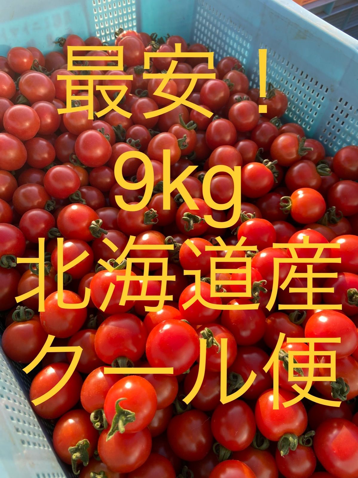 ミニトマト 9kg 北海道産 キャロル10 - メルカリ