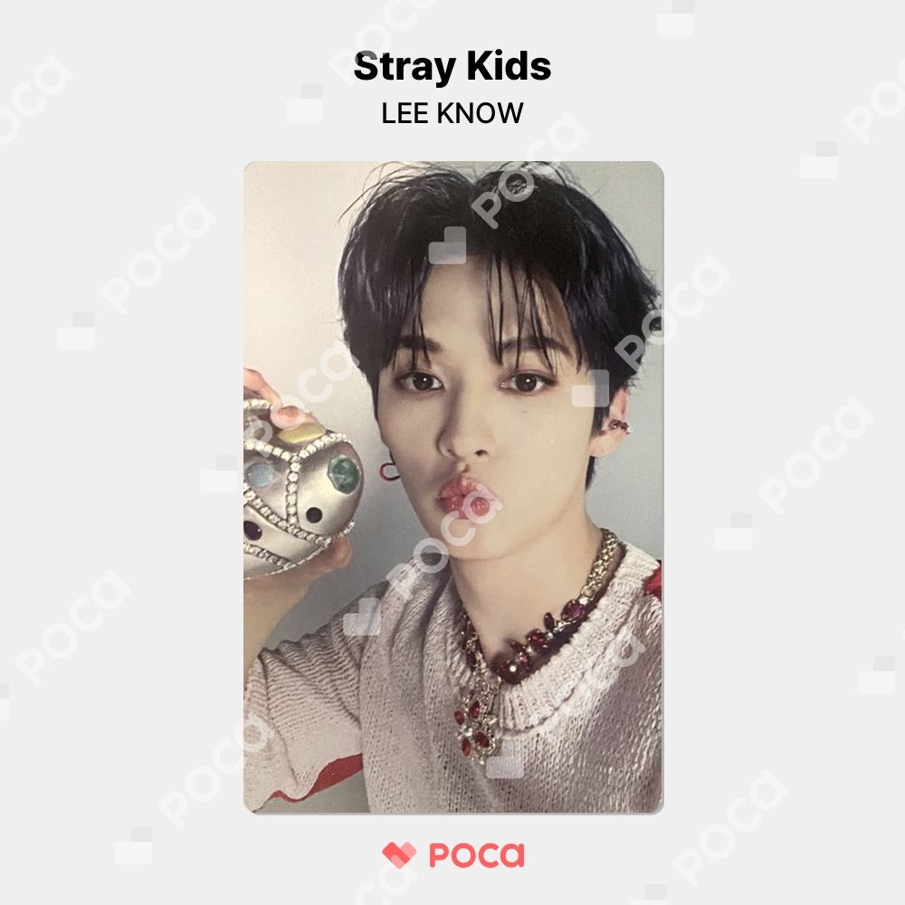 straykids リノ スキズ トレカ MAXIDENT CASE ver. アルバム