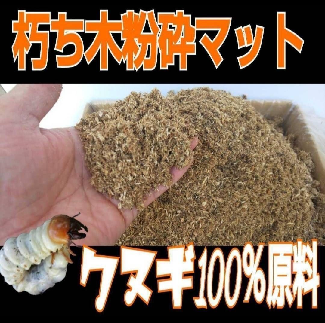 鉢□駕洛窯 清水久嗣造 向付 5客 高足 三島 桐共箱 作家物 時代物 骨董