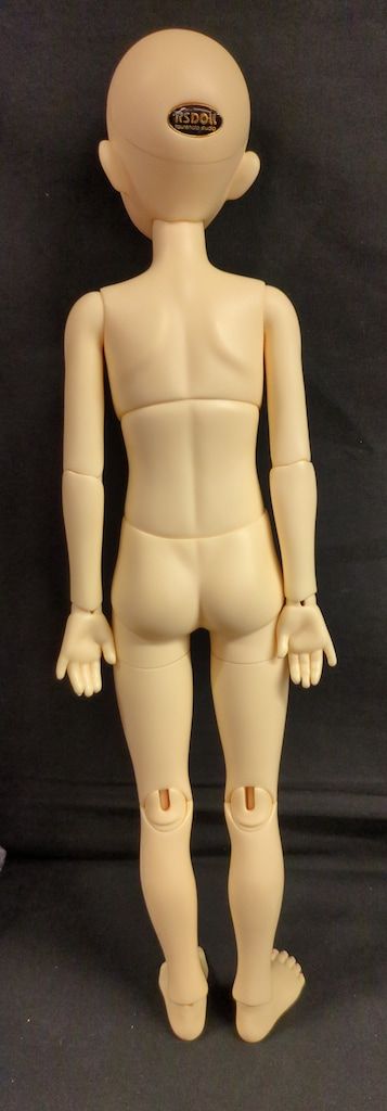 約43ｃｍ