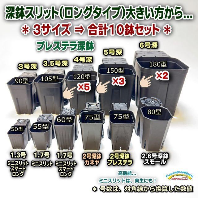 お引き取り限定！【プレステラ、プレステラ深鉢、スリット鉢、ミニ蘭鉢】オマケ付き！ プレステラ深鉢スリット鉢＊大きい方から3サイズ：120型×5鉢＋150型×3