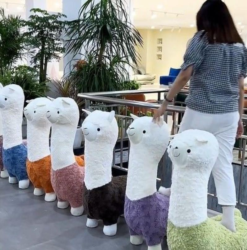 リビングルーム 贈り物