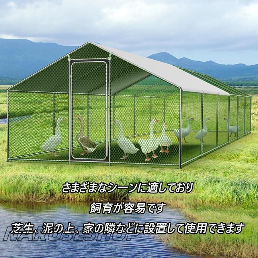 大型 亜鉛メッキ鋼製鶏用ケージ