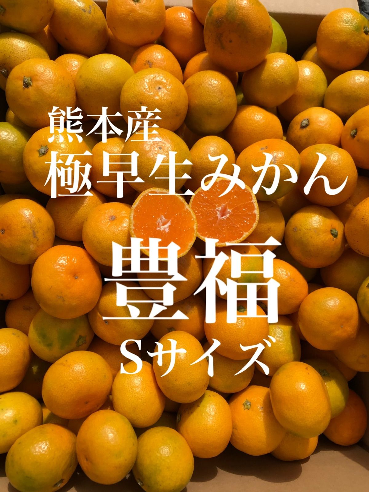 熊本産極早生みかん豊福Sサイズ20kg - メルカリ