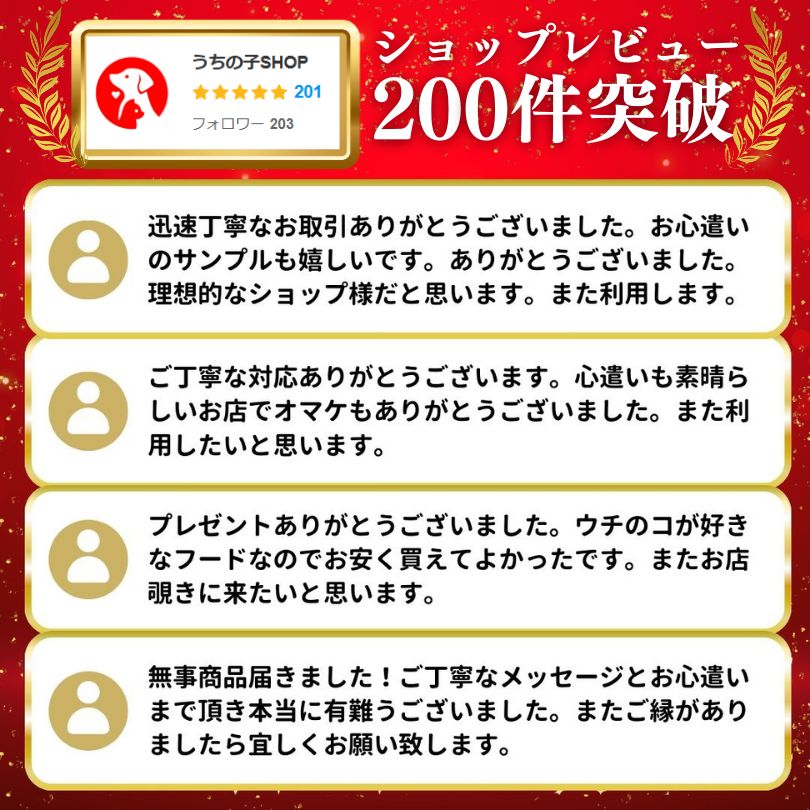 高齢犬 シニア犬