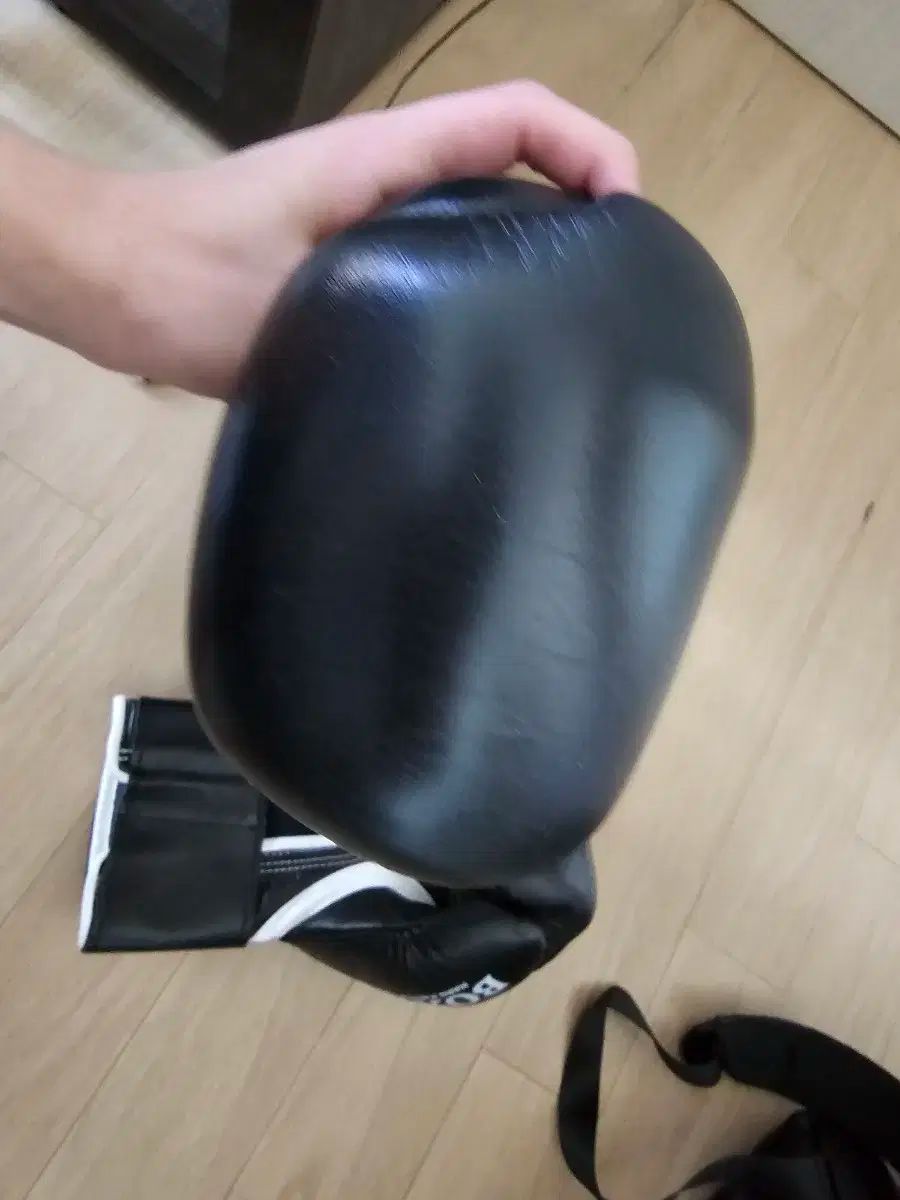 ラッセン【ラハイナ シンフォニー】ミクスドメディア キャンバス