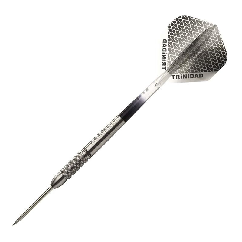 TRiNiDAD PRO Saldivar Steel 中西永吉 選手考案モデル トリニダード プロ サルディバル スティール ダーツ バレル シルバー tdd1022 0
