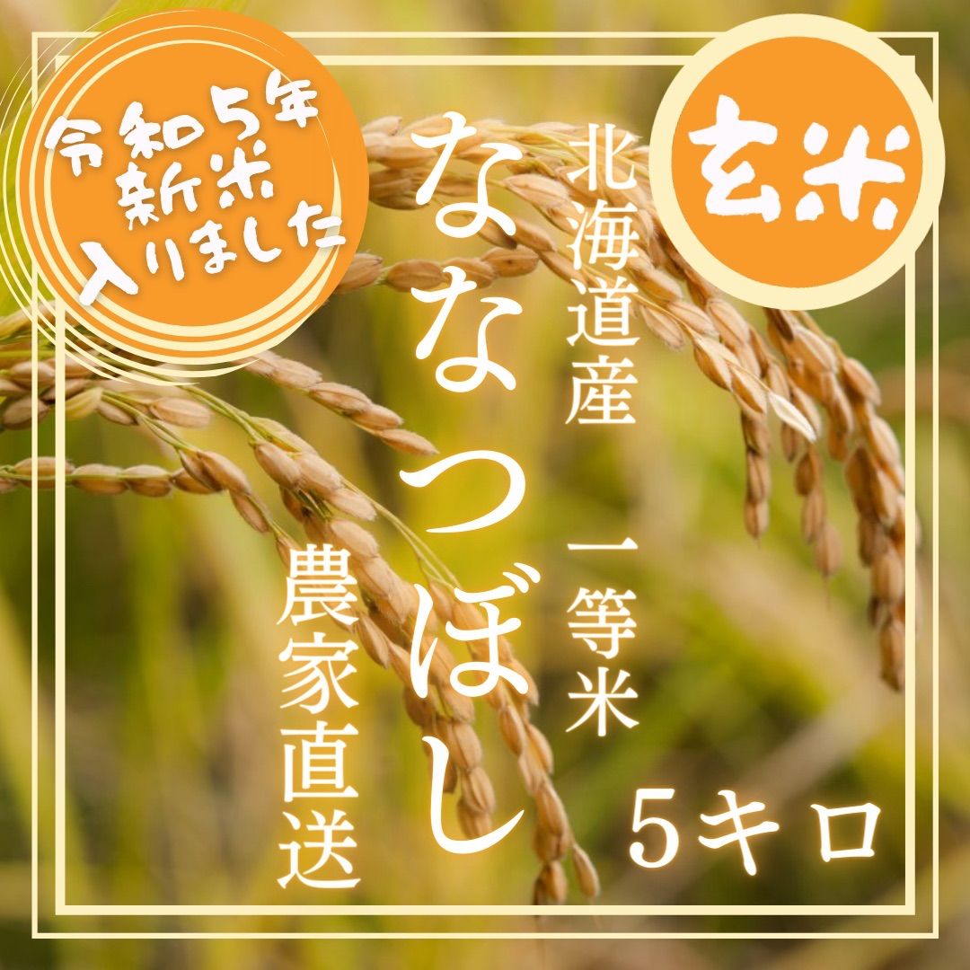 令和5年度北海道産ななつぼし玄米10キロ農家直送 - 米・雑穀・粉類